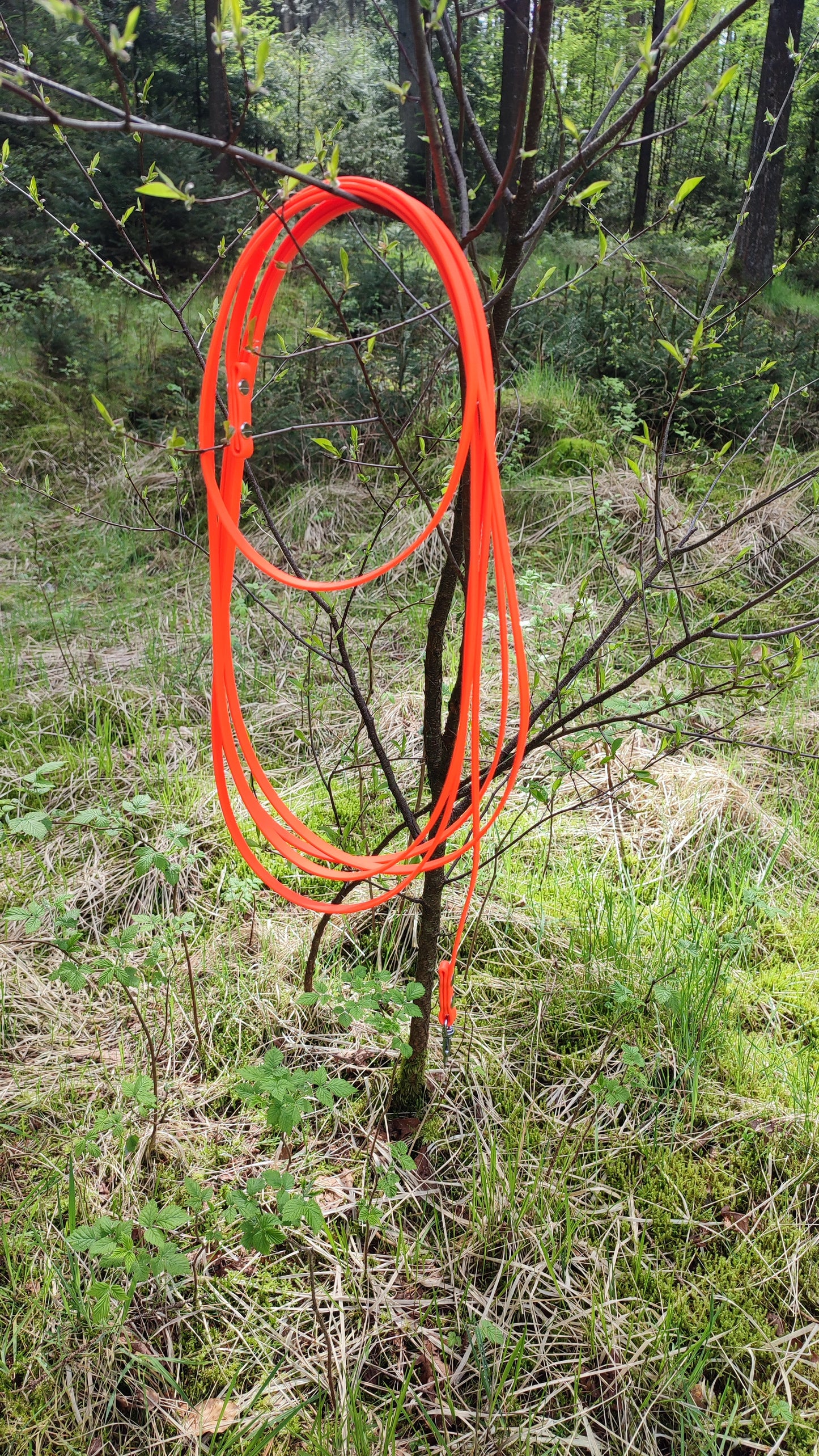 Schleppleine Biothane ohne Handschlaufe