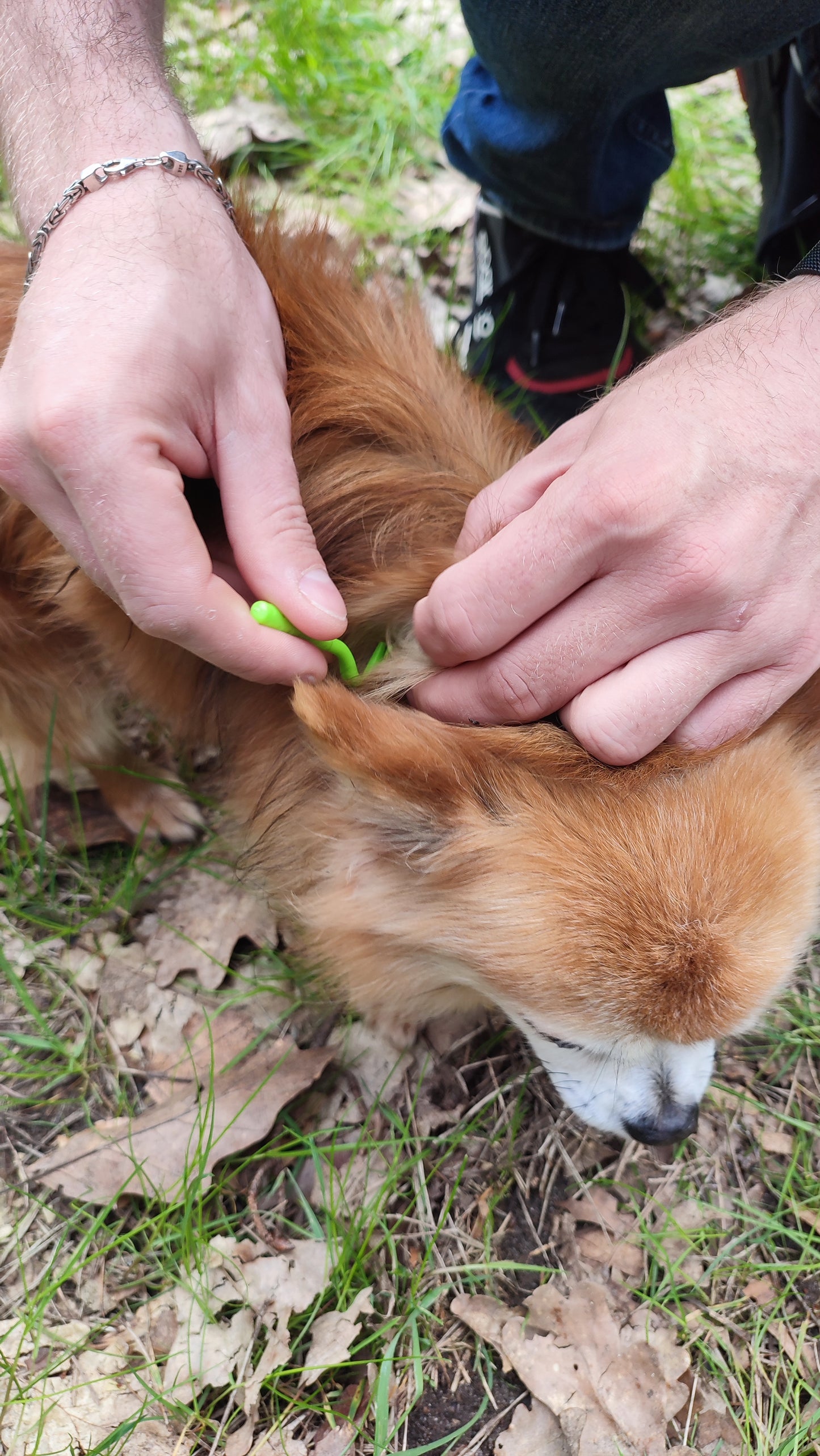Zeckentasche mit Aufdruck