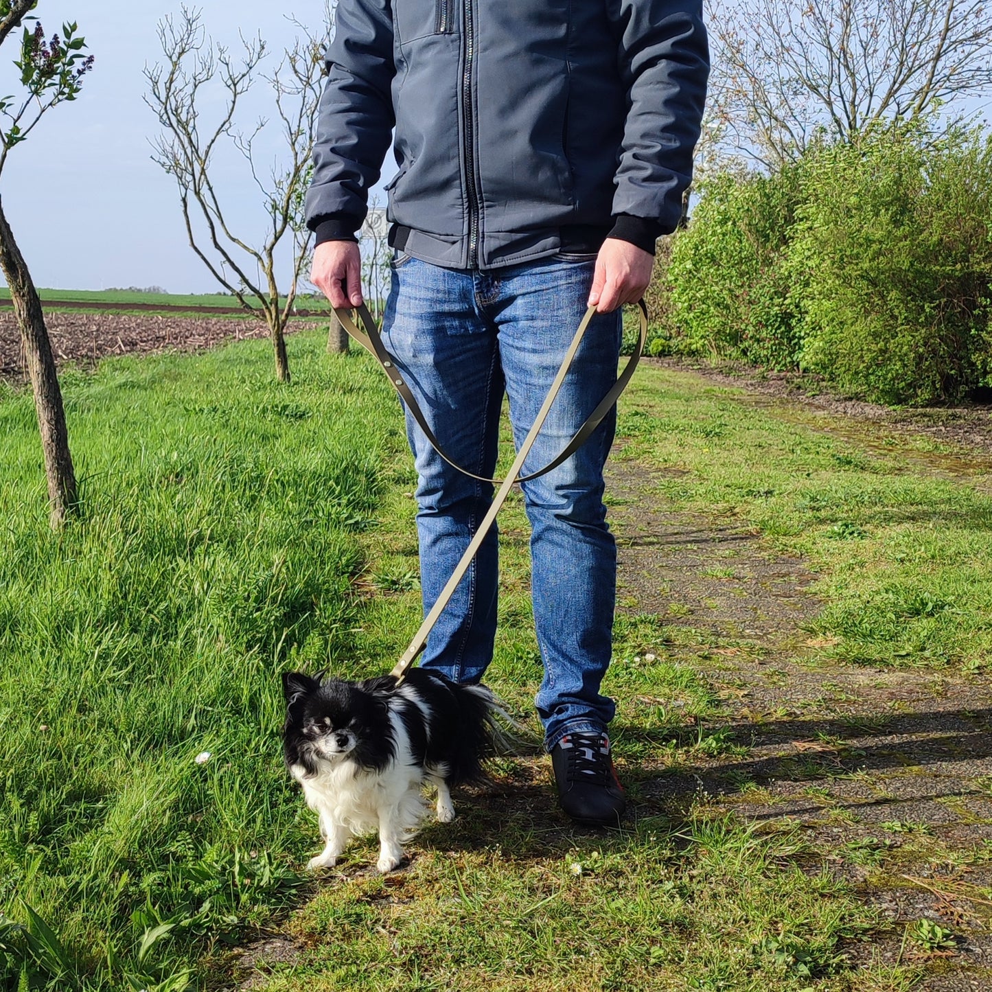 Cityleine Biothane mit Handschlaufe