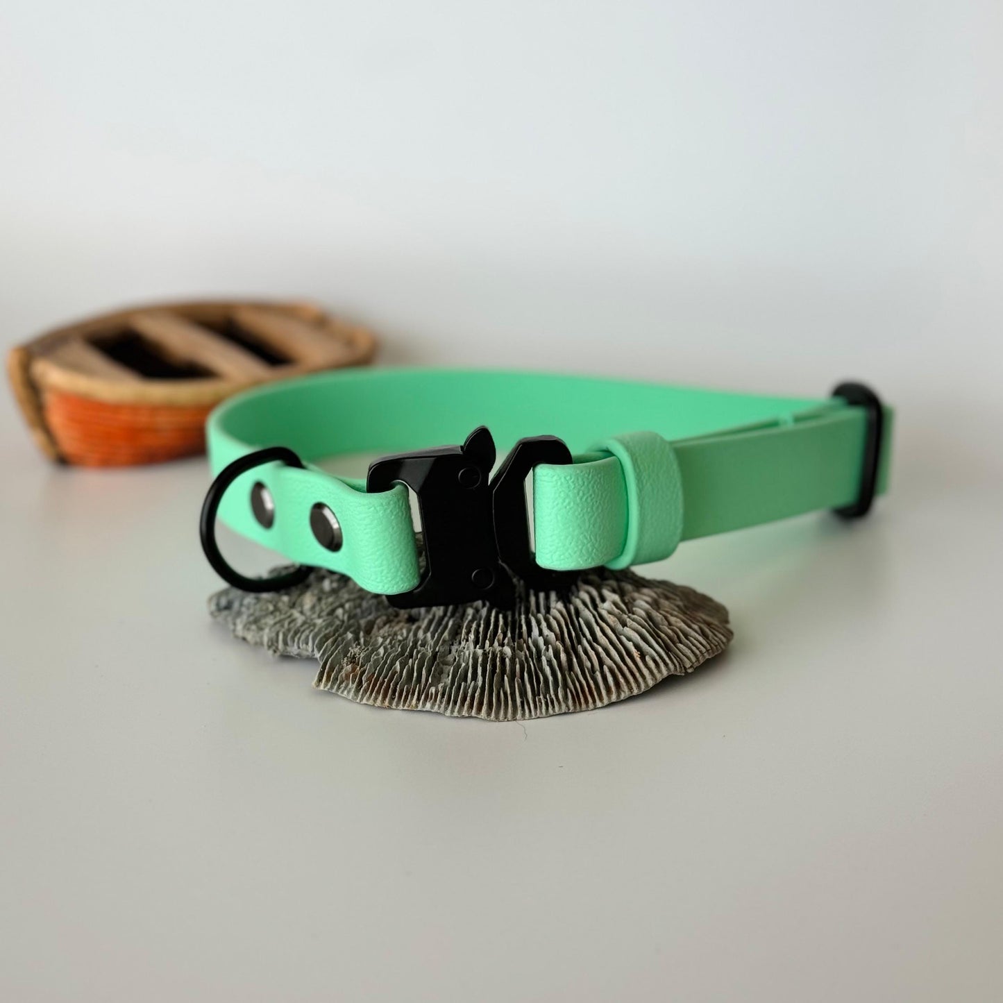 Halsband Biothane® Mint