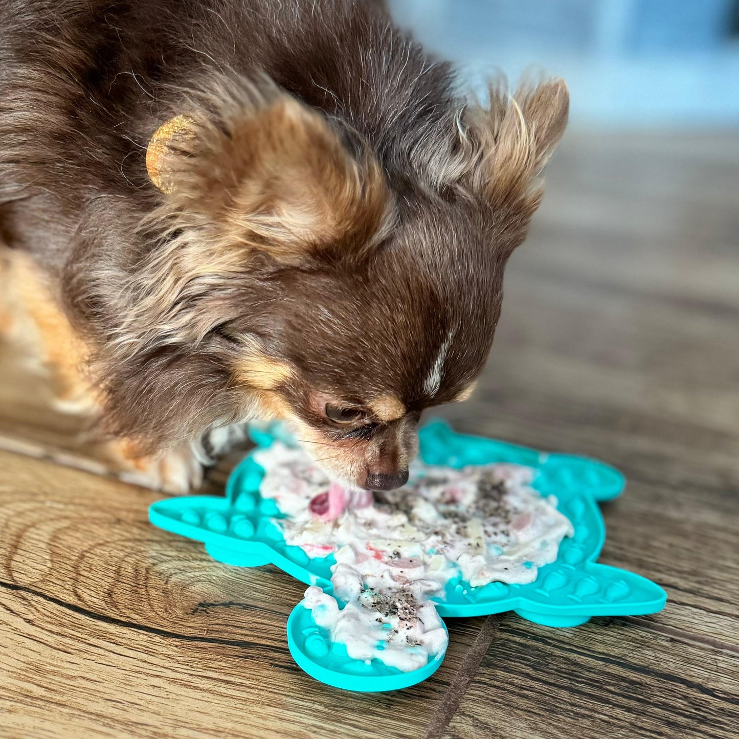 Leckmatte Schildkröte