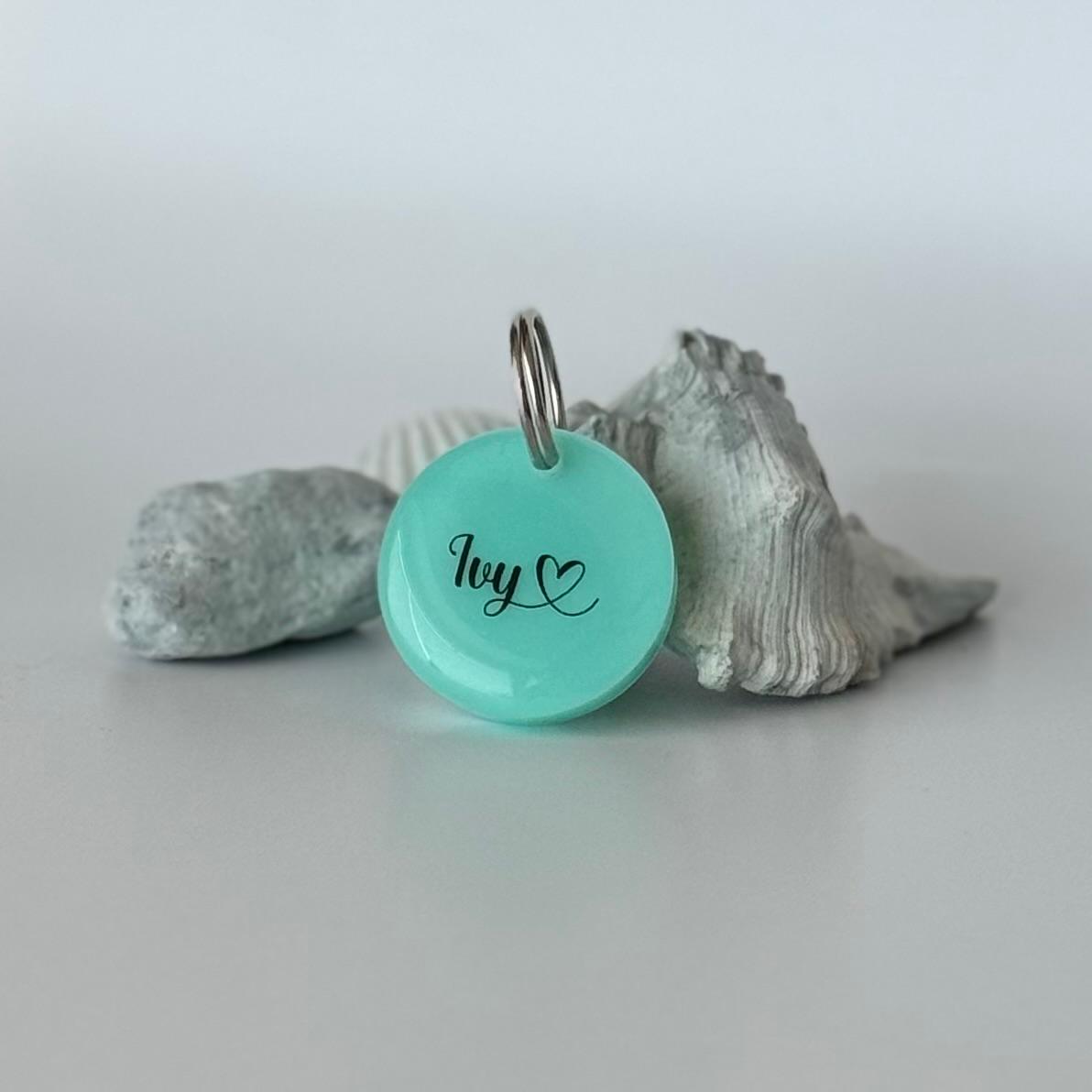 Hundemarke personalisiert Pastel Mini Mint