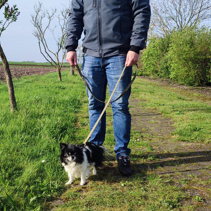 Cityleine Biothane mit Handschlaufe