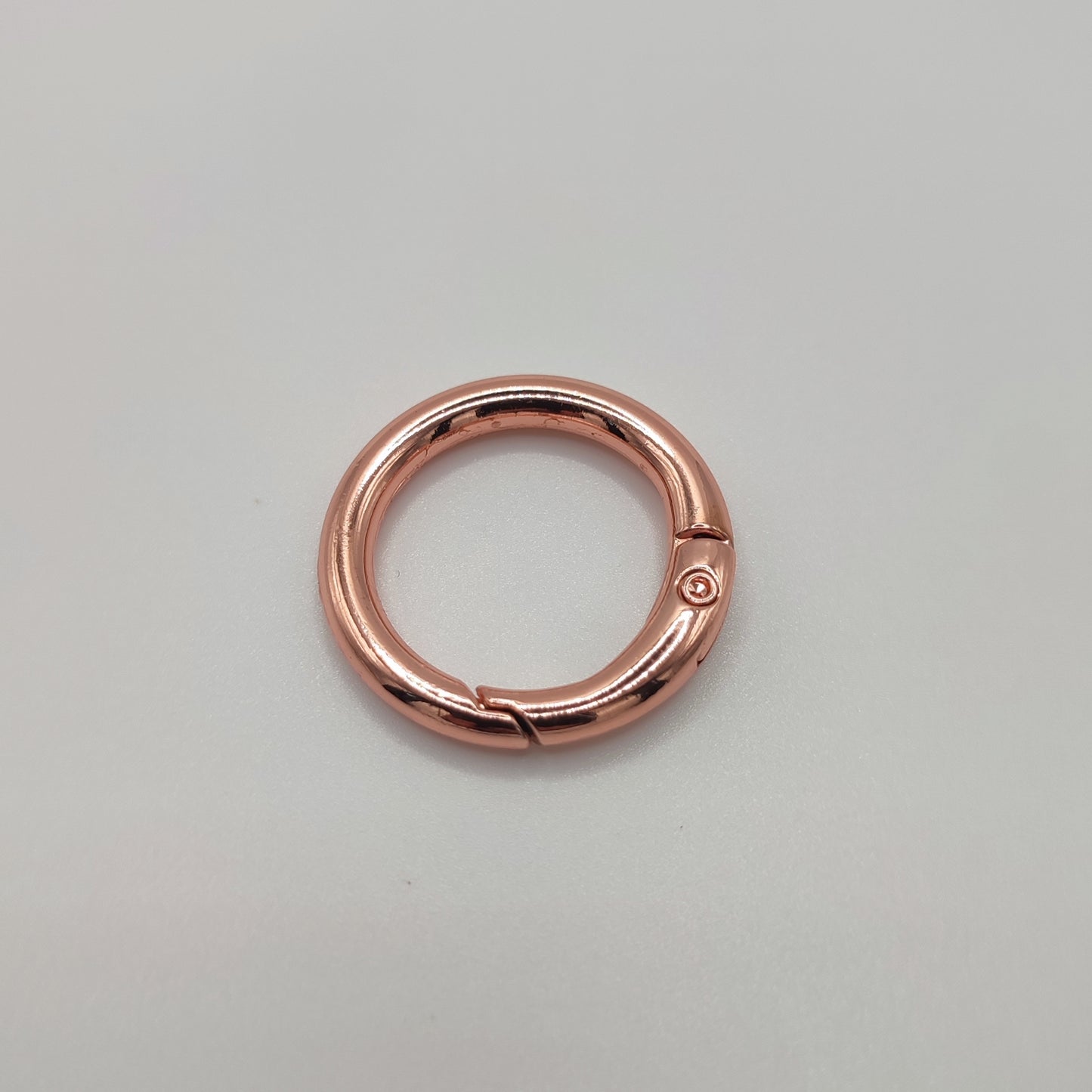 Karabiner für Hundemarken