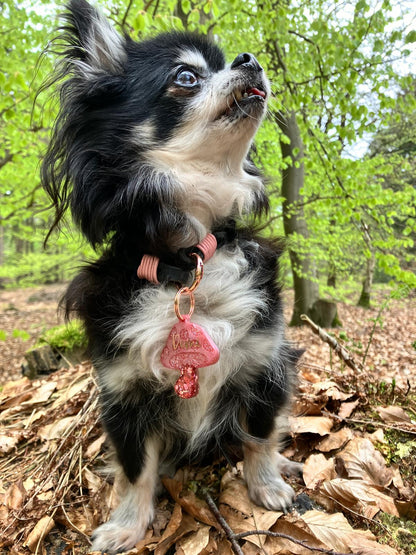 Hundemarke personalisiert Rose Mashroom Sonder Edition