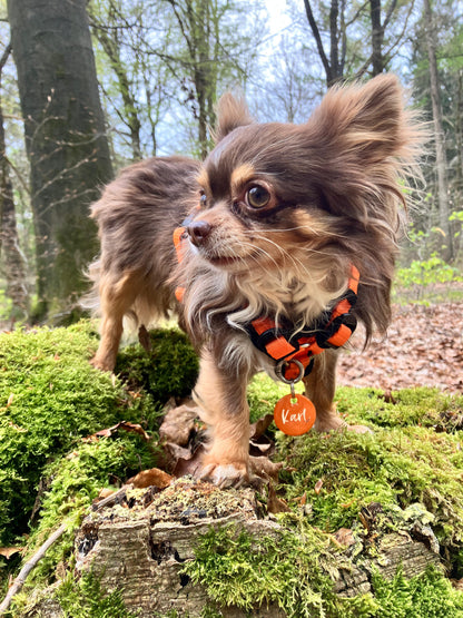 Hundemarke personalisiert Orange Classic