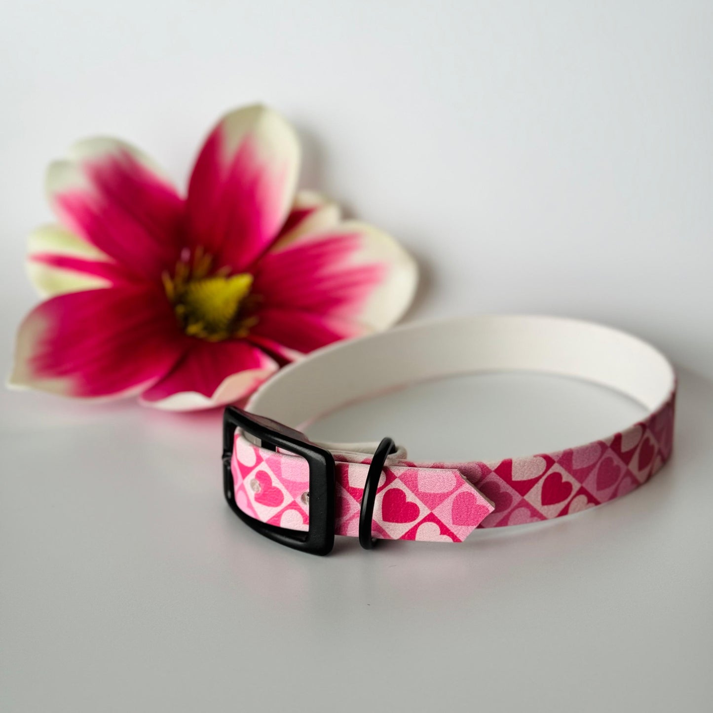 Halsband Biothane® Herzen