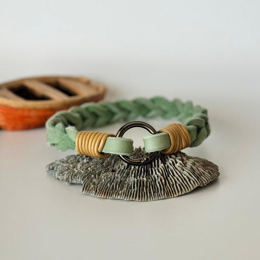 Markenhalsband Leder Mint