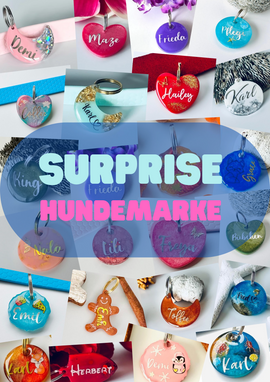 Hundemarke Surprise