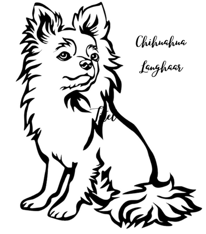 Impfausweishülle mit Aufdruck