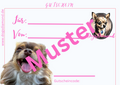 Dogs Diamond Geschenkgutschein