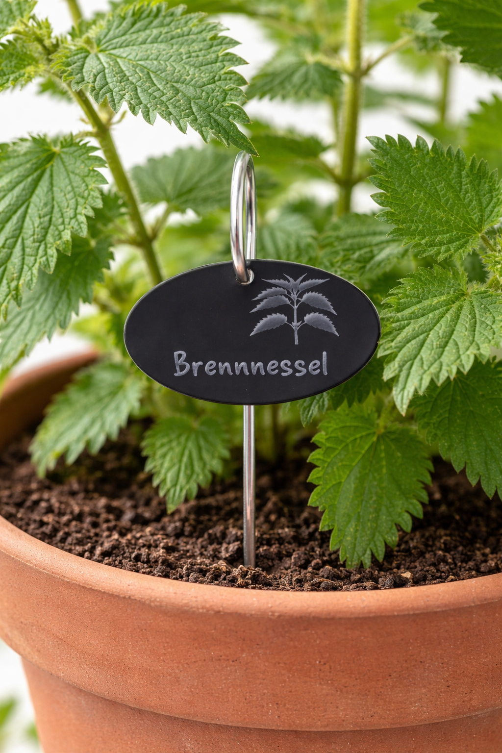 Kräuter und Gemüse Stecker für Barfer